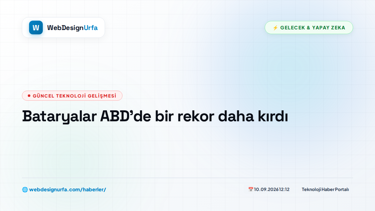 Bataryalar ABD'de bir rekor daha kırdı