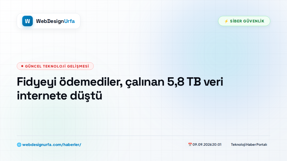 Fidyeyi ödemediler, çalınan 5,8 TB veri internete düştü