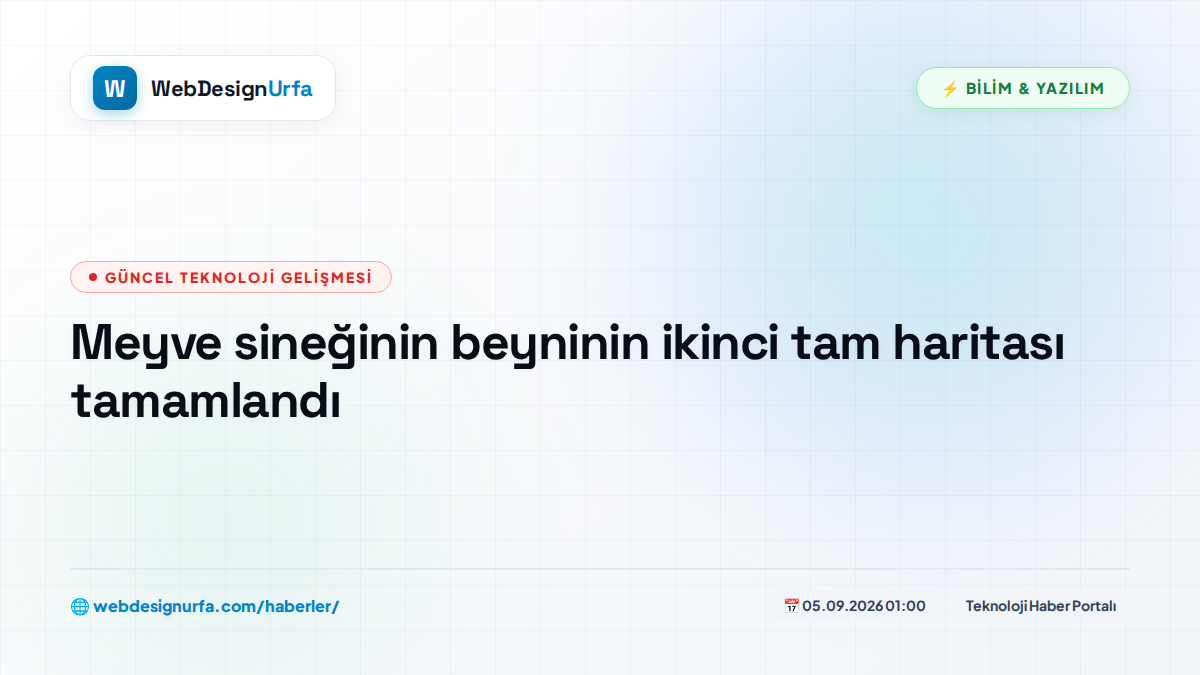 Meyve sineğinin beyninin ikinci tam haritası tamamlandı