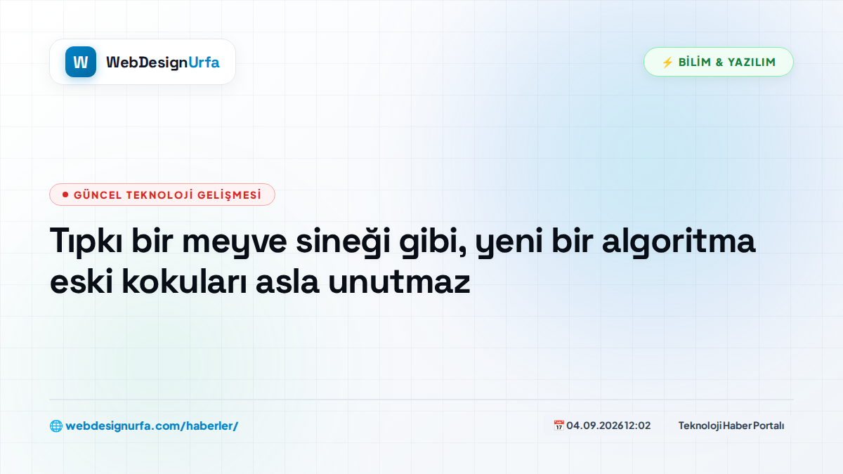 Tıpkı bir meyve sineği gibi, yeni bir algoritma eski kokuları asla unutmaz